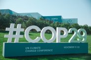 cop29-185x123.jpg