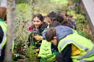 Image-Marylebone-Flyover-rain-gardens-with-school-kids-planting-the-final-plants-Credit-Marble-Arch-London-BID-Michael-Pilkington-300x200.jpg