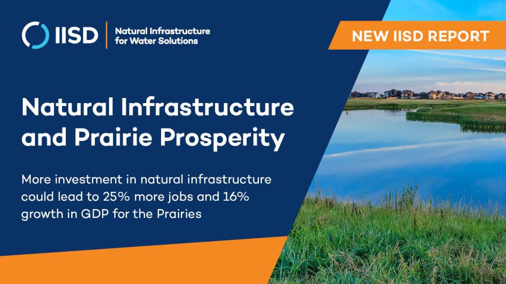 The image has the title of the report beside an image of water on the Canadian Prairies. The title is: Natural Infrastructure and Prairie Prosperity.