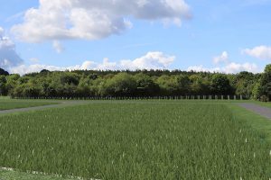 rendered-visualisation-of-the-reed-beds-looking-out-towards-scholes-300x200.jpg