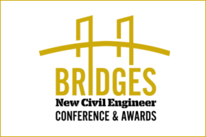 Bridges-Conferences-and-Awards.png